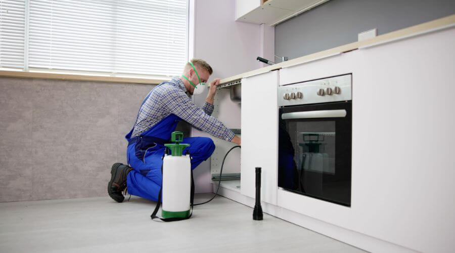 Why choose Flea Removal Ruidoso Downs for flea removal in Ruidoso Downs